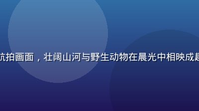 自然纪录片航拍画面，壮阔山河与野生动物在晨光中相映成趣，画面震撼